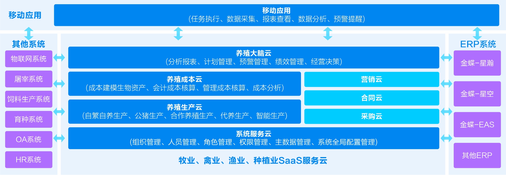构建战略落地闭环