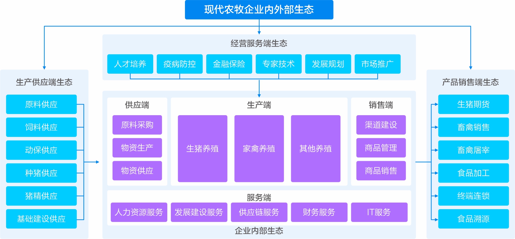 强化数字化能力
