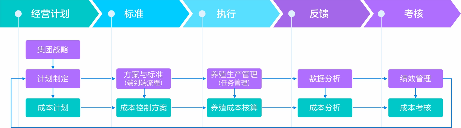 建设内部生态规模